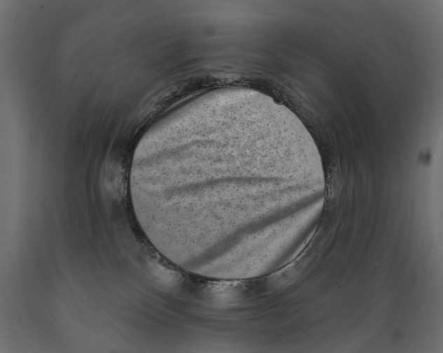 X0000088890136200707061440