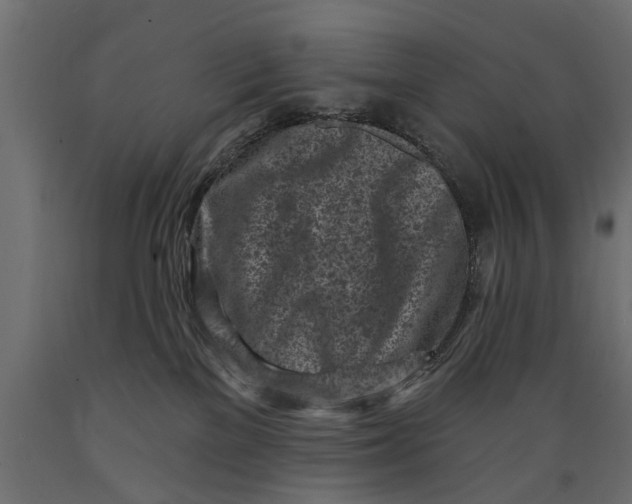 X0000088890137200707061440