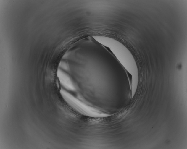 X0000088890139200707061440