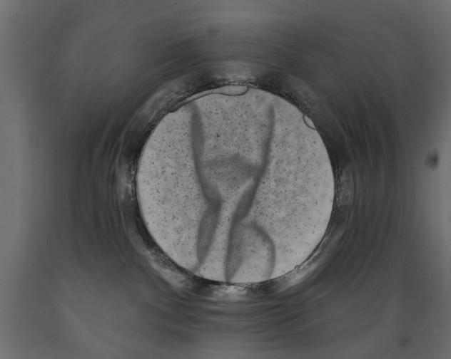 X0000088890140200707061440
