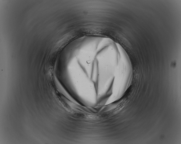 X0000088890141200707061440