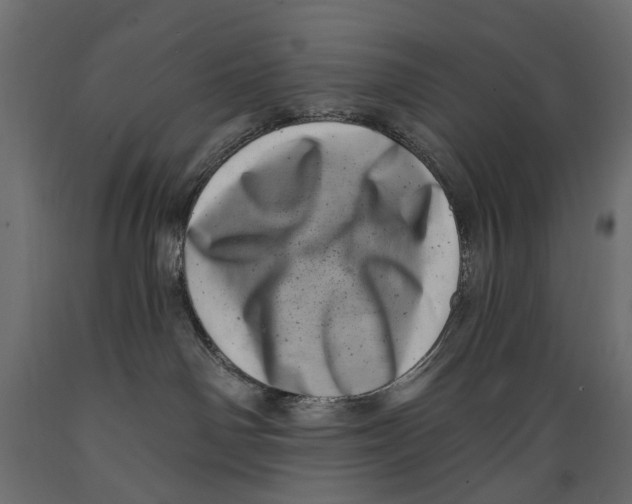 X0000088890142200707061440