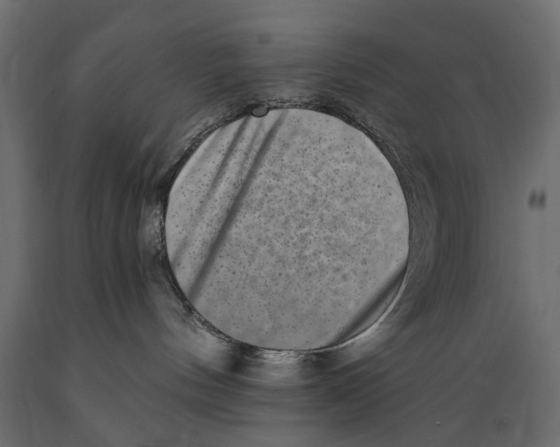 X0000088890144200707061440