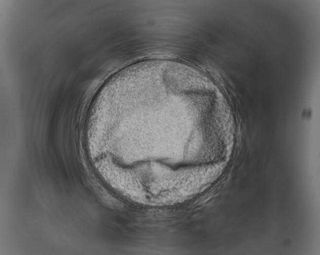 X0000088890145200707061439