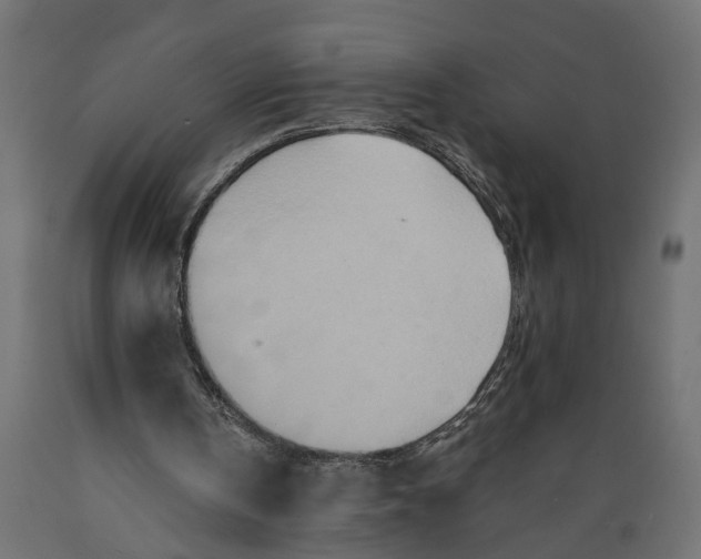 X0000088890146200707061439