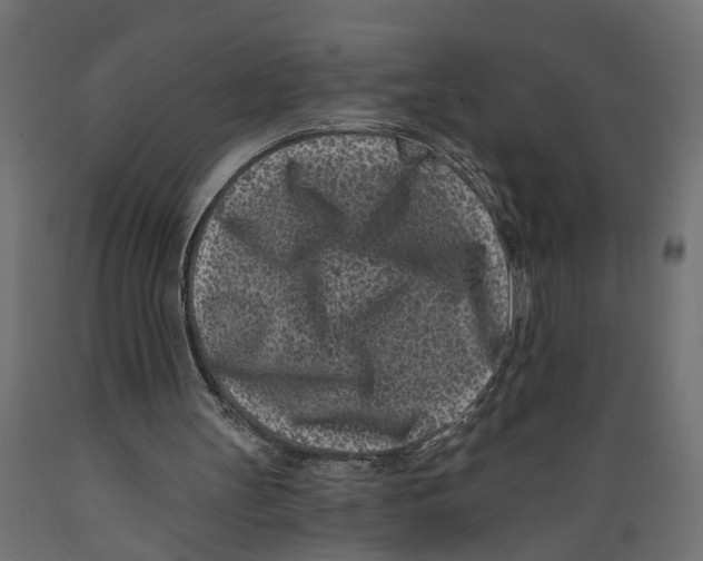 X0000088890147200707061439