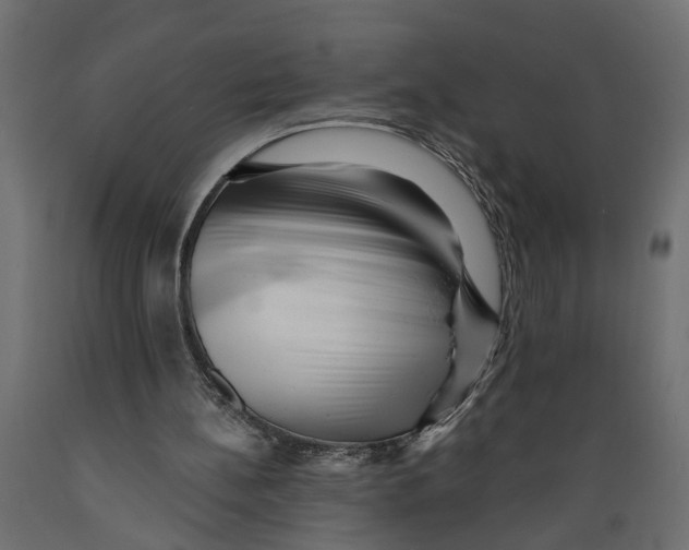 X0000088890148200707061439