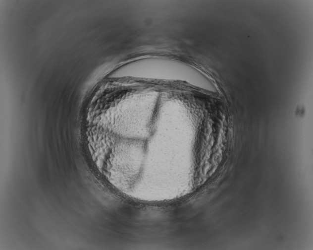 X0000088890149200707061440