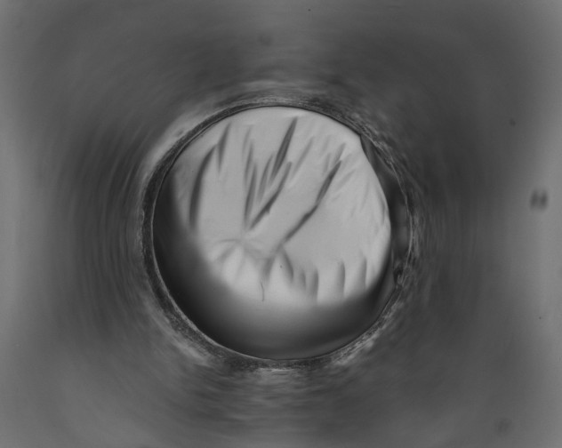 X0000088890150200707061440