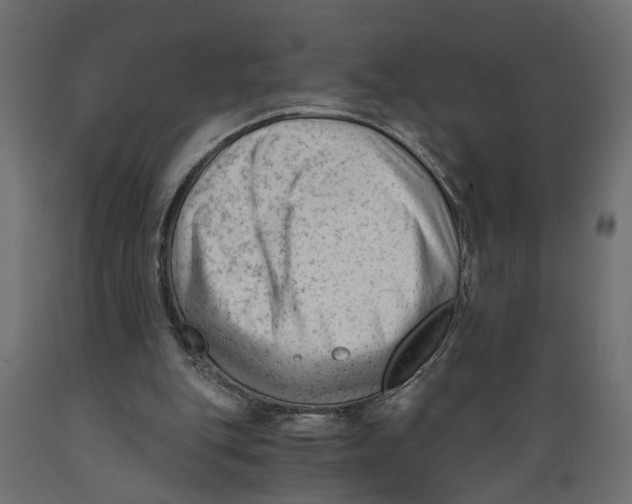 X0000088890151200707061440