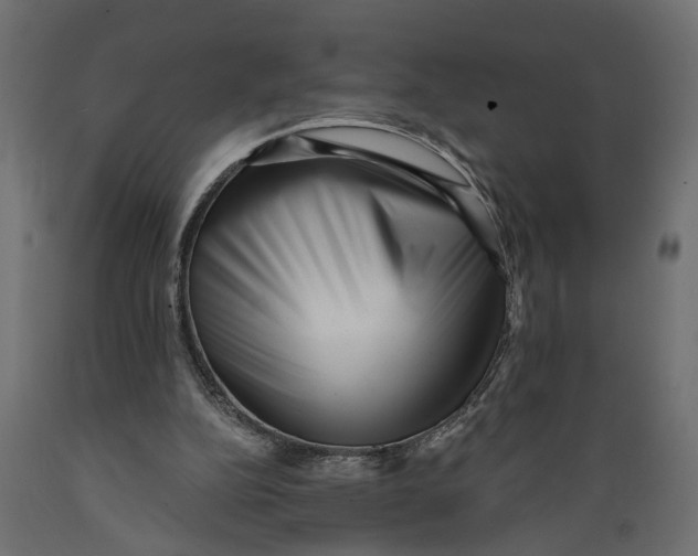 X0000088890152200707061440