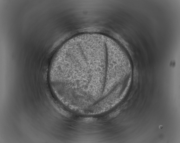 X0000088890153200707061440