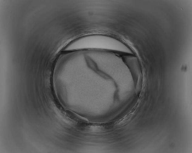 X0000088890154200707061440