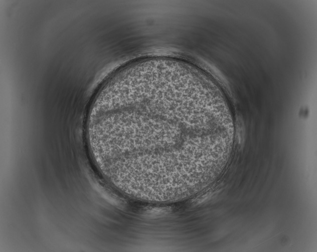 X0000088890155200707061440