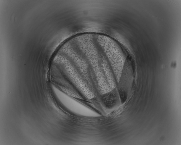 X0000088890156200707061440