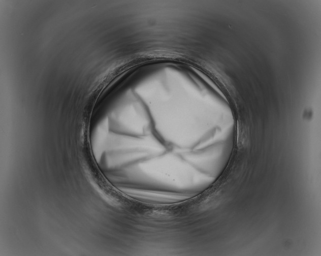 X0000088890157200707061440