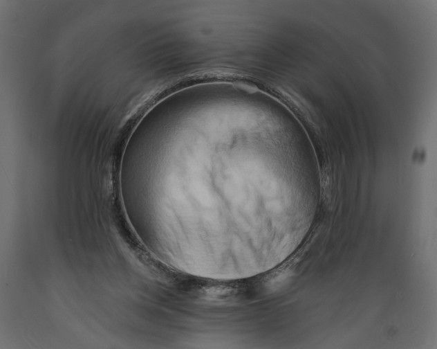 X0000088890158200707061440