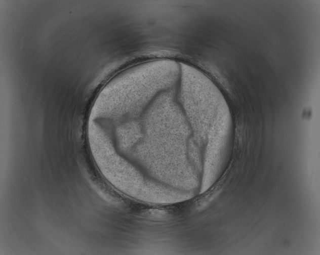 X0000088890159200707061440