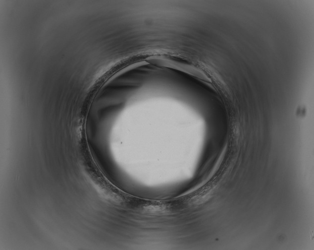X0000088890160200707061440