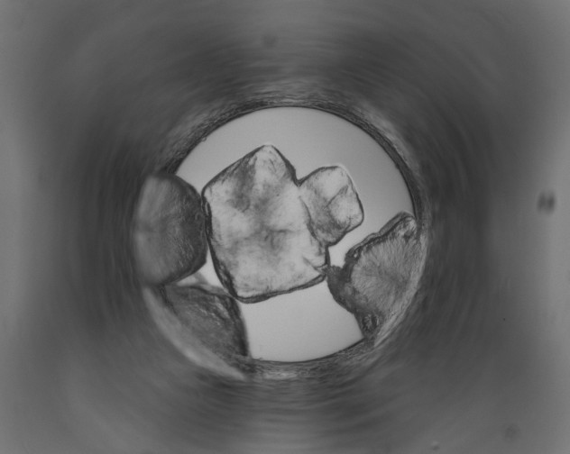 X0000088890161200707061440