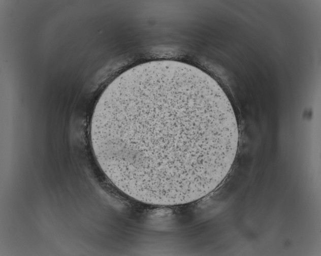 X0000088890162200707061440