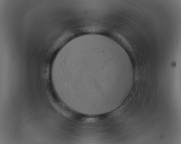 X0000088890163200707061440