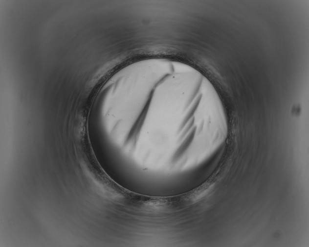 X0000088890164200707061440