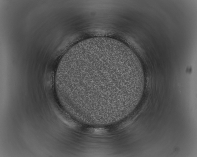 X0000088890165200707061440