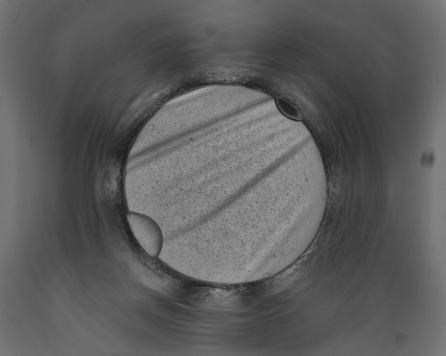 X0000088890166200707061440