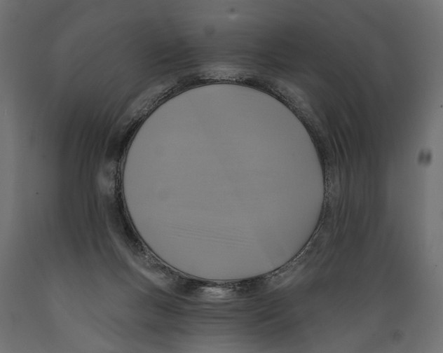 X0000088890167200707061440