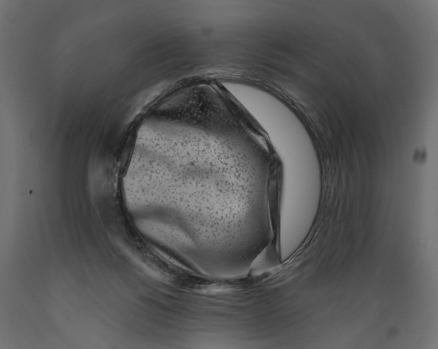 X0000088890168200707061440