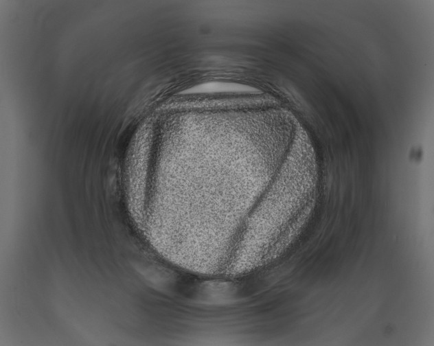 X0000088890169200707061440