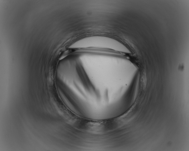 X0000088890170200707061440