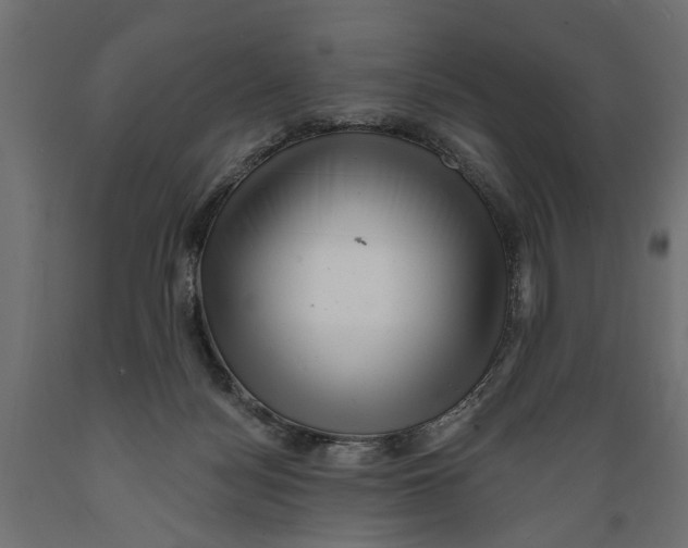 X0000088890172200707061440