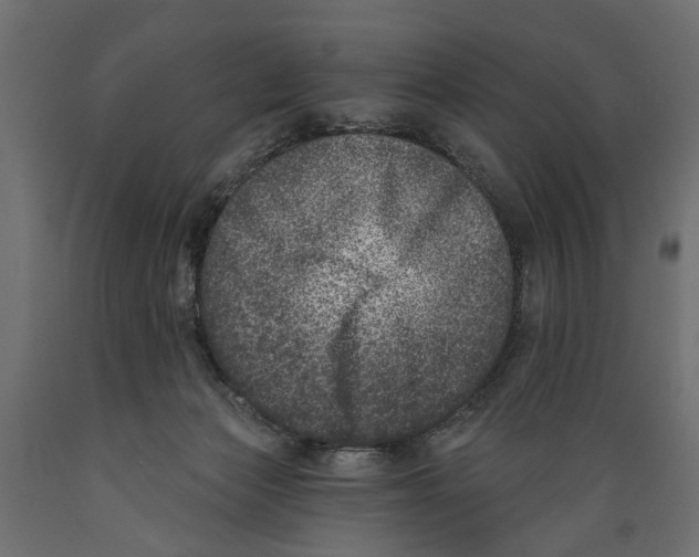 X0000088890173200707061440