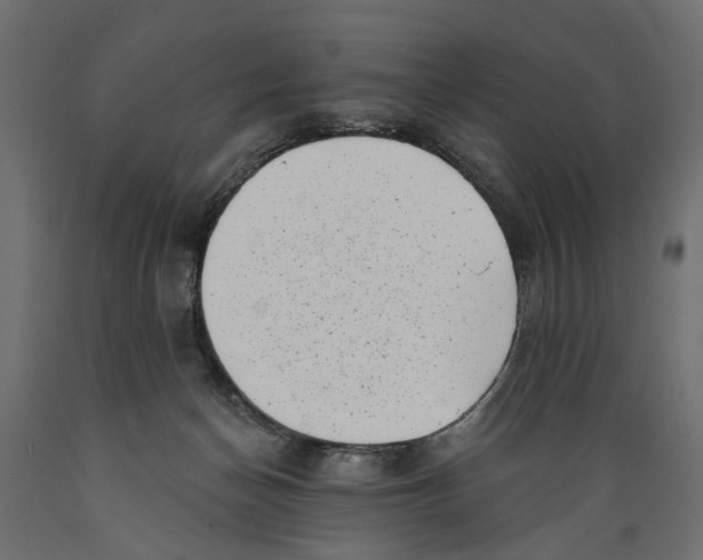 X0000088890174200707061440