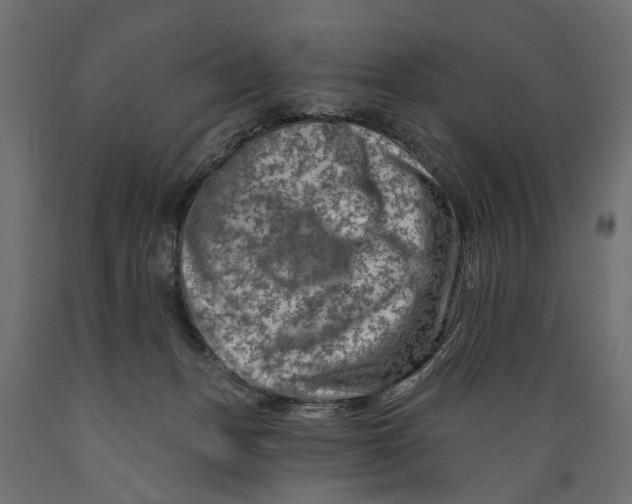 X0000088890175200707061440