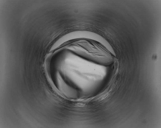 X0000088890176200707061440
