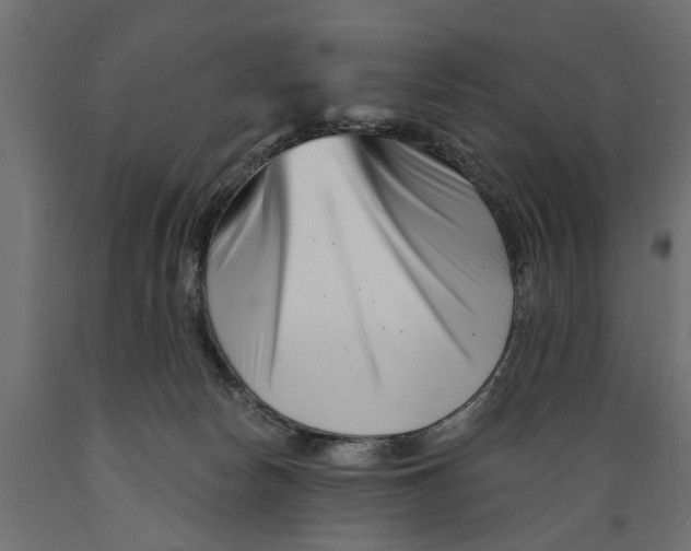 X0000088890178200707061440