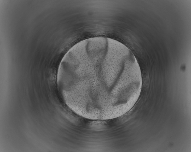X0000088890179200707061440