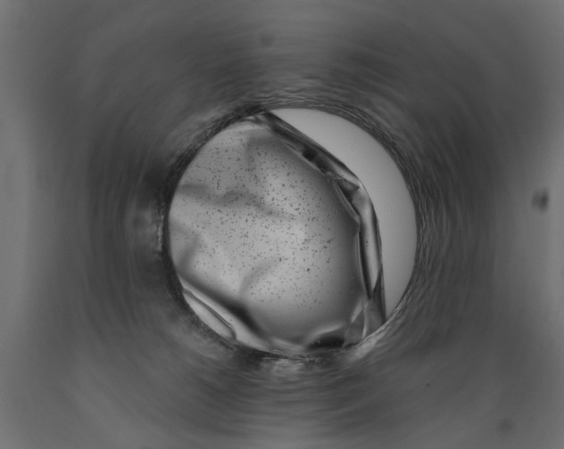 X0000088890180200707061440