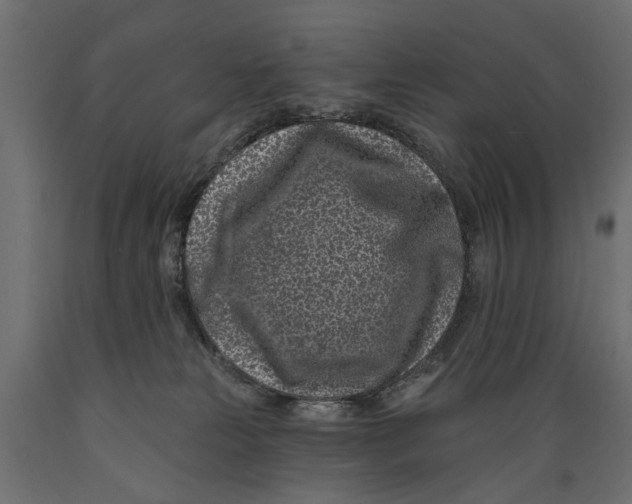 X0000088890181200707061440