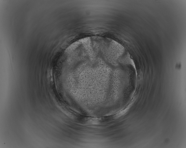 X0000088890182200707061440