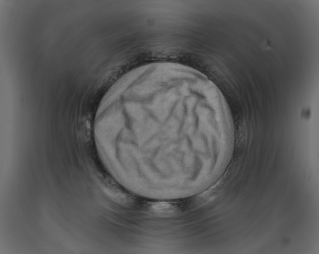 X0000088890183200707061440