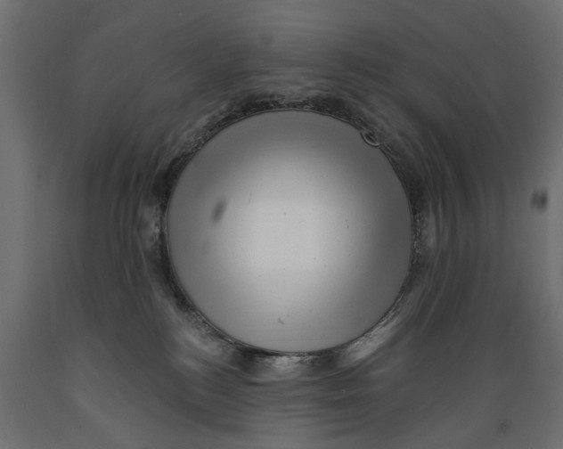 X0000088890184200707061440