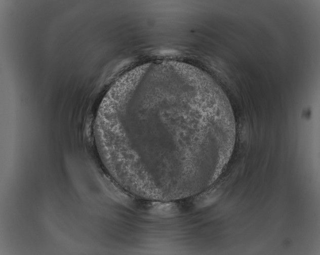 X0000088890185200707061440