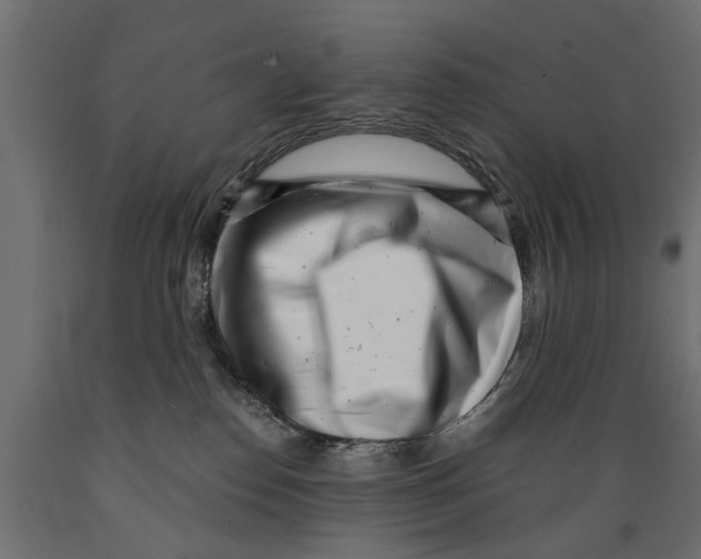 X0000088890186200707061440