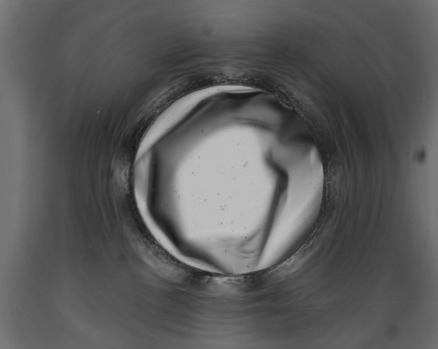 X0000088890188200707061440