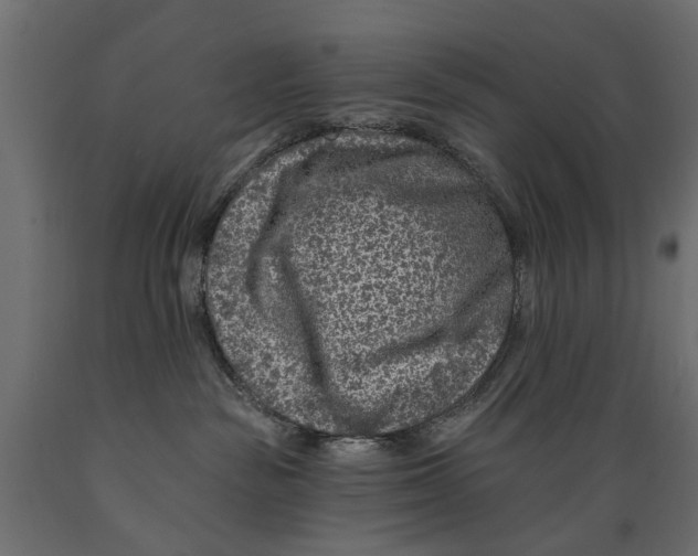 X0000088890189200707061440