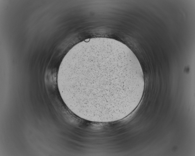 X0000088890190200707061440